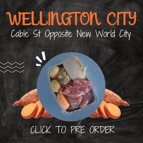 Wellington Wednesday